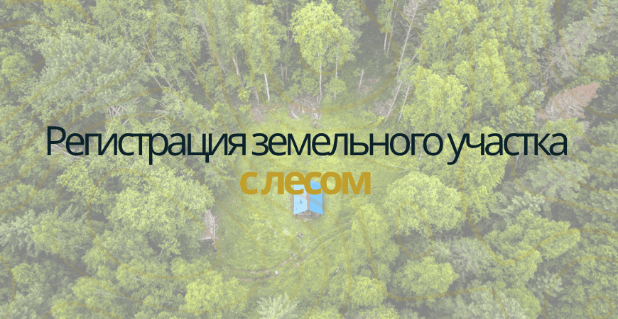 Земельный участок с лесом в Новой Москве